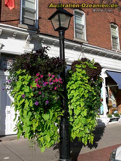 Latern with flowers