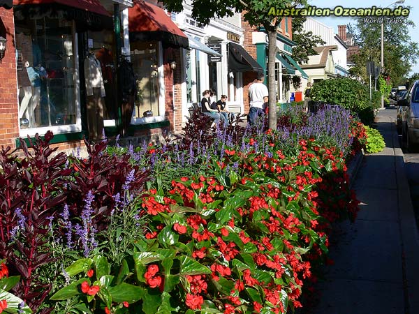 flowers at Niagara