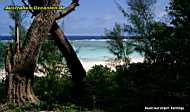 Rarotonga - Beach at Airport