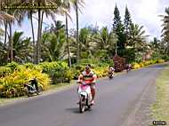 Rarotonga - scooter rider