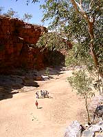 Blick auf ausgetrocknetes Flußbett - Ormiston Gorge