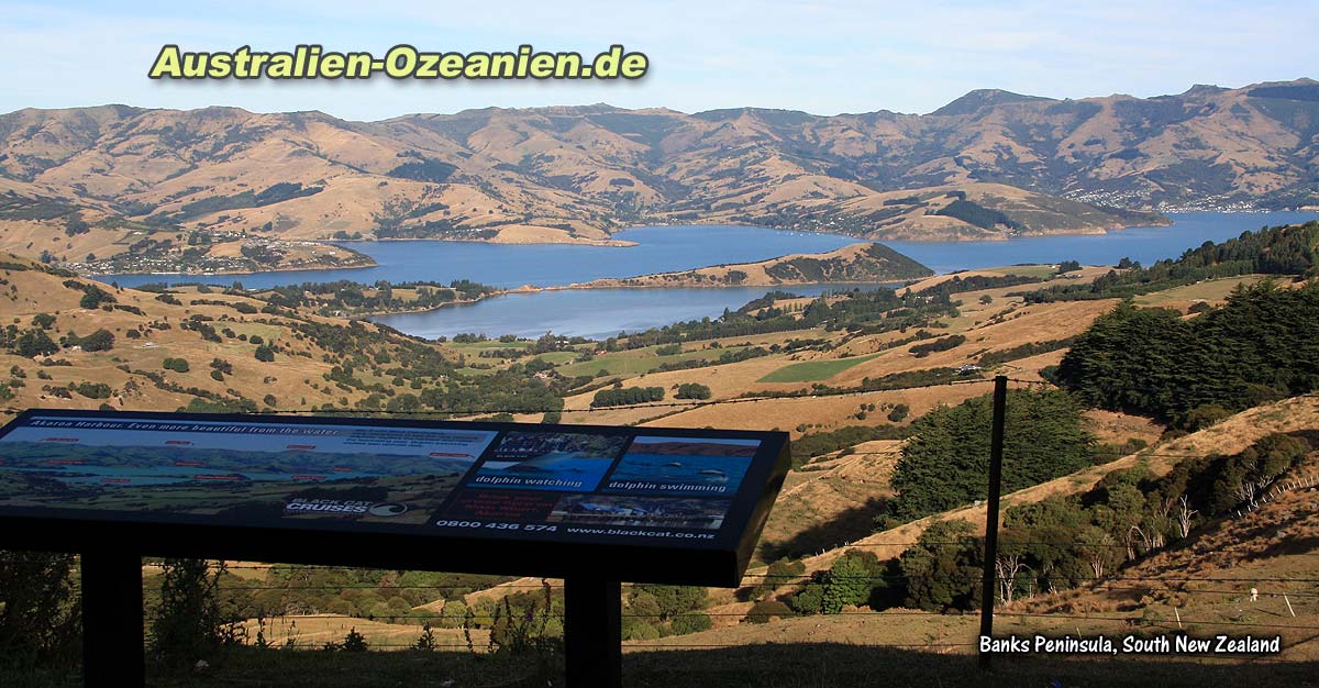 Panoramablick über bergige Landschaft auf den großen Naturhafen Akaroa Harbour