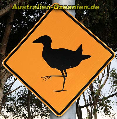 Straßenwarnschild "Pukeko"