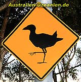 Pukeko Straßenschild