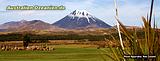 malerischer Vulkanberg Mt Ngauruhoe