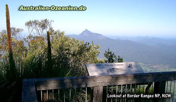 Border Ranges lookout