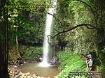 Wasserfall im Dorrigo National Park