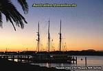 großes Segelschiff vor Sonnenuntergang; Fledermausschwarm