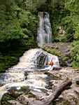 McLean Falls, Catlins, New Zealand