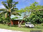 Niue Island - accomodation