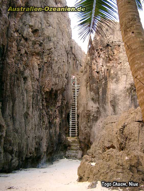 Leiter in die Togo Chasm