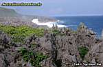 Niue Island - east coast- Togo