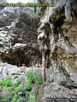 Niue Island - Limestones at Talava Arches