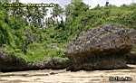 Niue Island - reef walking 01