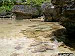 Niue Island - reef walking 03