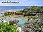 Niue Island - Limu Pools 1