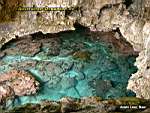 Niue Island - Avaiki Cave 6