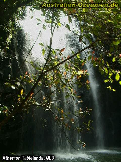 Ellinjaa Falls