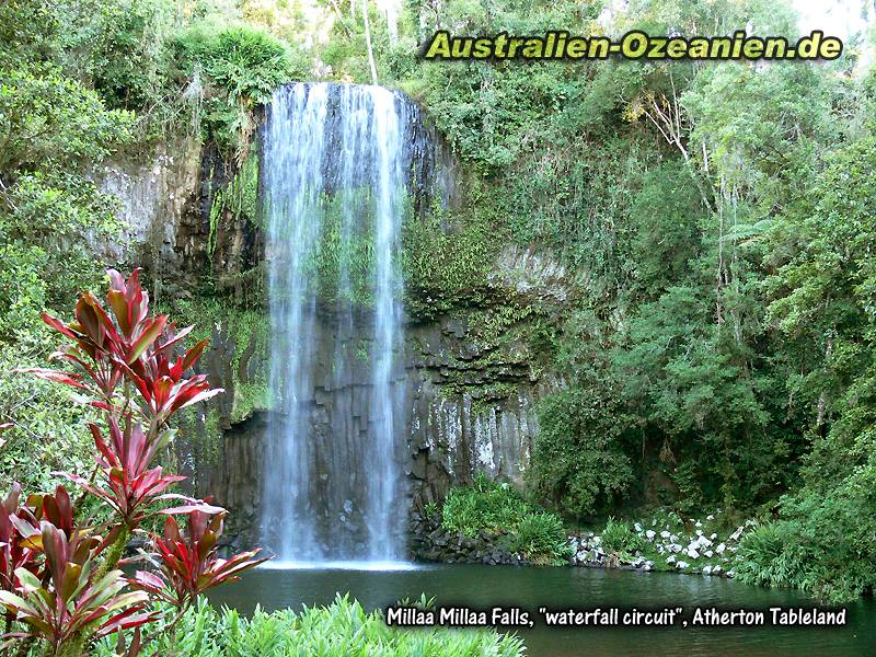 Millaa Millaa Falls