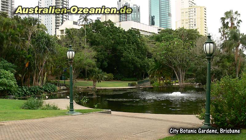 Teich im Botanischen Garten von Brisbane