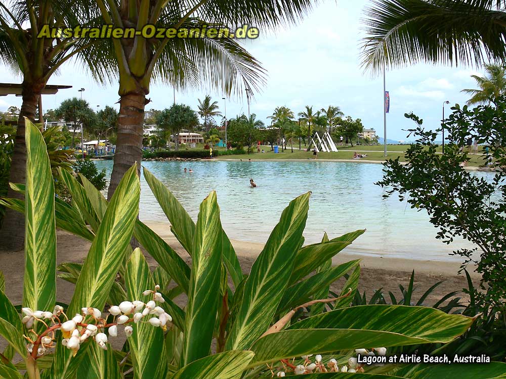 The Lagoon - das große Freibad von Airlie Beach