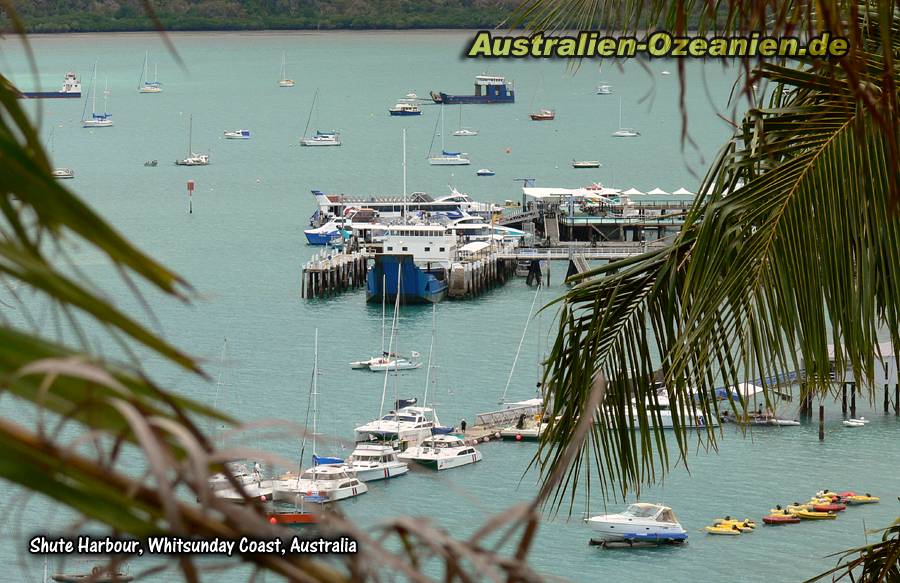 Boote in der Bucht von Shute Harbour