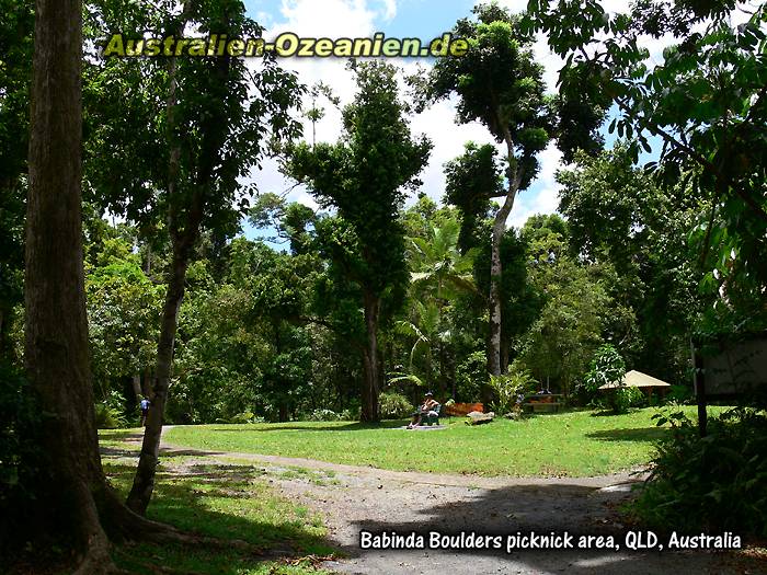 Picknickplatz im tropischen Urwald