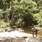 Wanderer im Eungella National Park