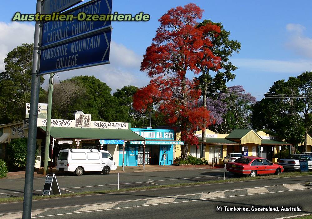 Takeaway, Mt Tamborine