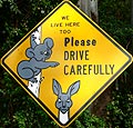Straßenschild "Achtung Kängurus und Koalas"