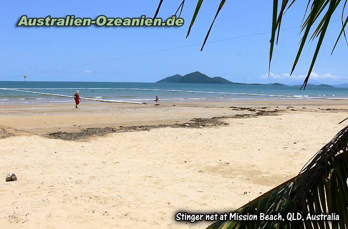 Touristen am Strand, Quallennetz