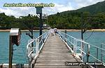 clump point jetty