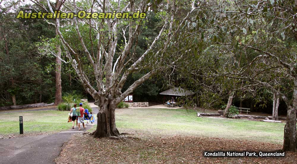 Picknickbereich im Nationalpark