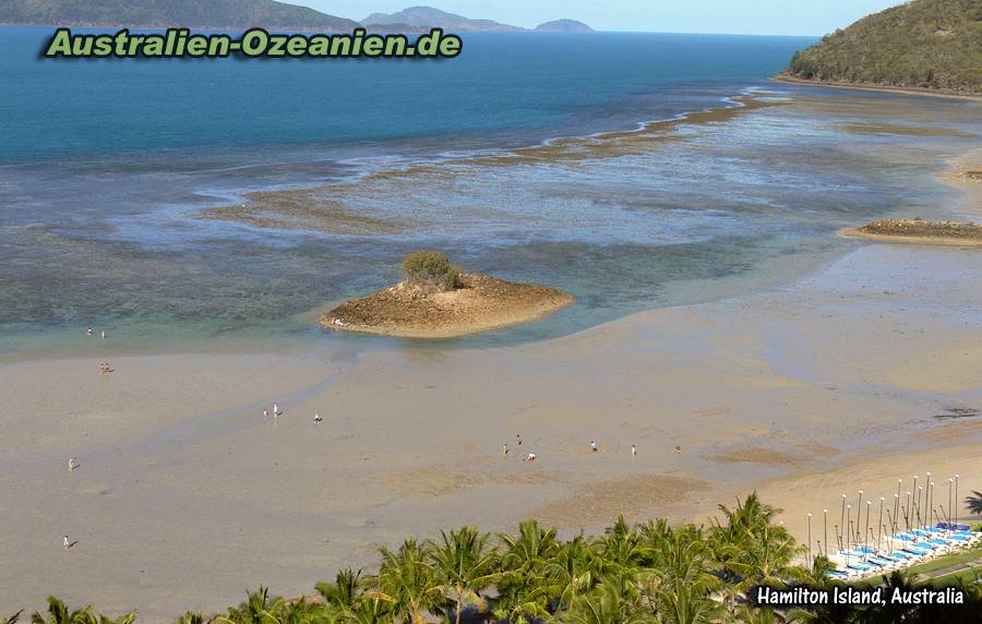 Ebbe auf Hamilton Island