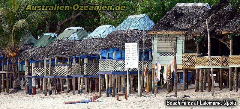 Strandfales und Palmen