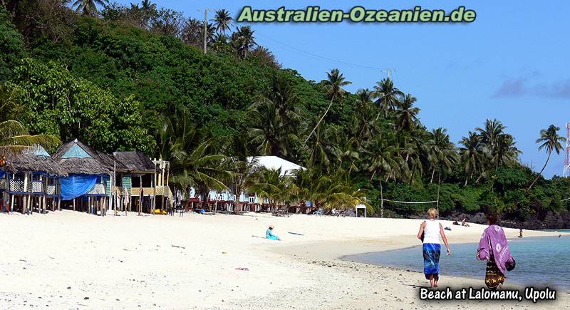 Palmen, Sonne, Strand