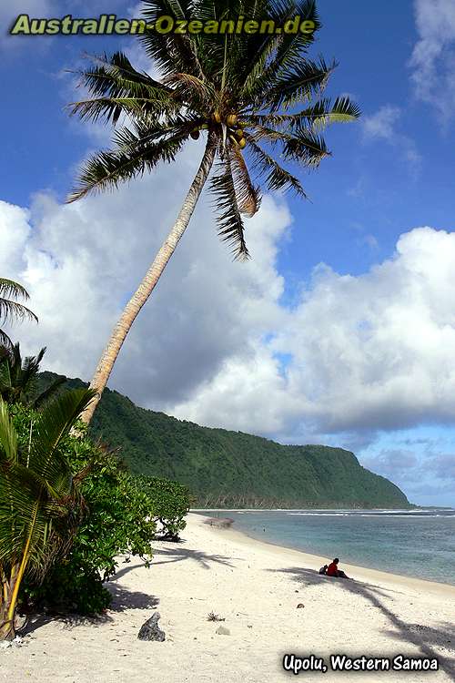 Palme - Strand - Wasser - blauer Himmel