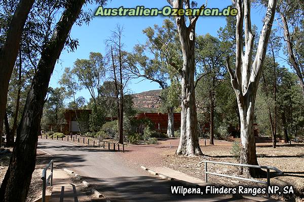 Wilpena Campingplatz