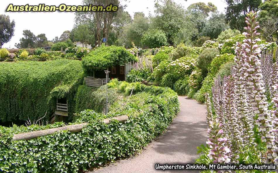 am oberen Rand des Umpherston Sinkholes