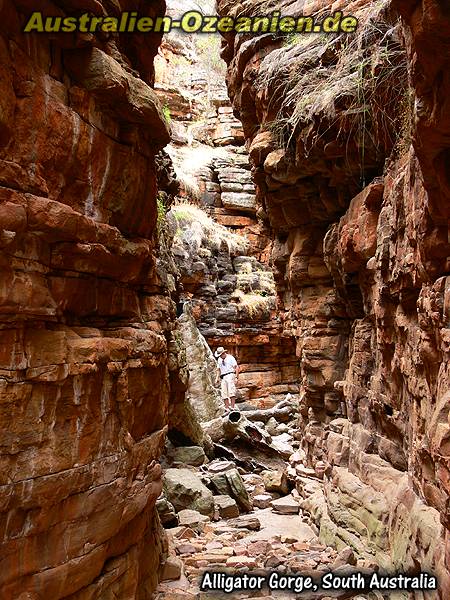 Alligator Gorge