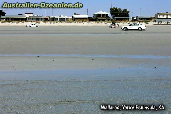 Autos am Strand