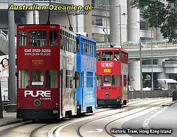 die typischen Straßenbahnen von Hongkong