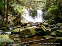 Wasserfall im Mt. Field National Park