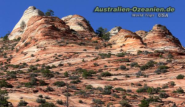 rocks at Zion