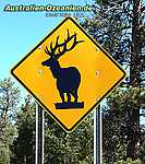 road sign "deer"