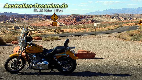 Harley in the Desert