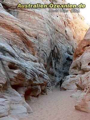 walking track through narrow canyon