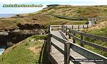 Phillip Island - The Nobbies Boardwalk