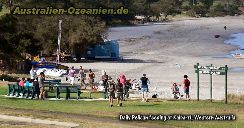 Strand von Kalbarri am Morgen