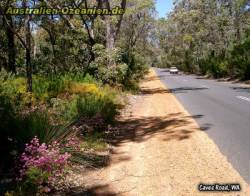 Caves Road near Margaret River